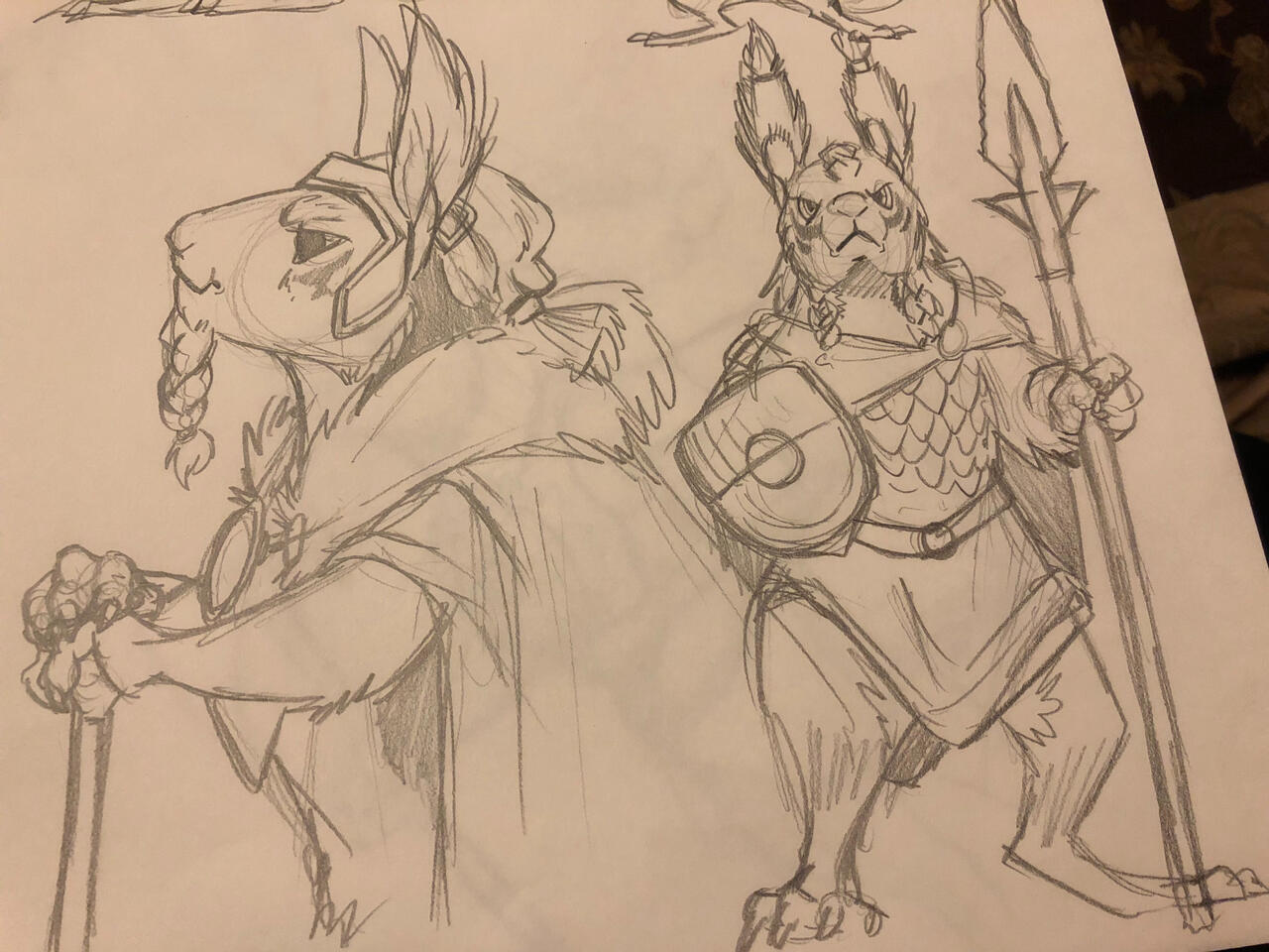 Squirrel Viking concepts