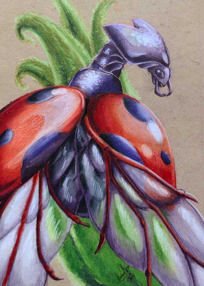 Ladybug Dragon
