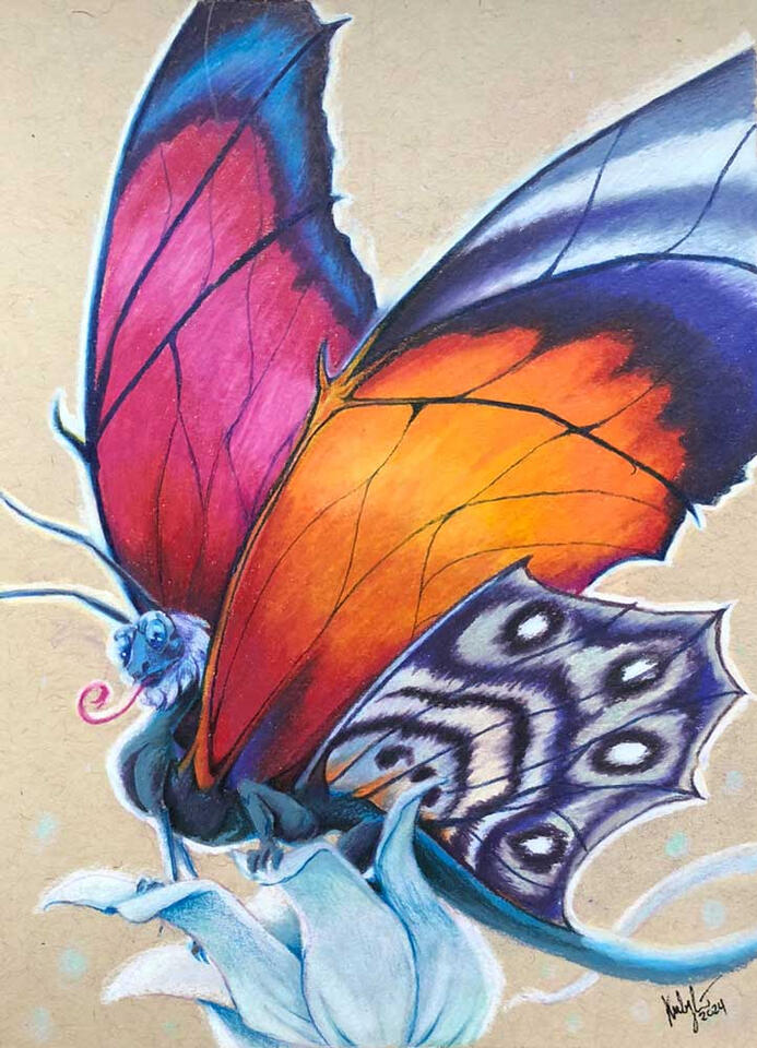 Claudina Butterfly Dragon